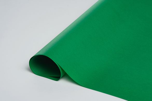 Упаковочная бумага тишью темно-зеленая (25) 50х70 см - 10 листов
