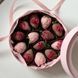 Коробка кругла 20*7см з прозорою кришкою, рожева