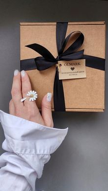 Картонна коробка самозбірна 24*17*5см бура, (упаковка 5шт)